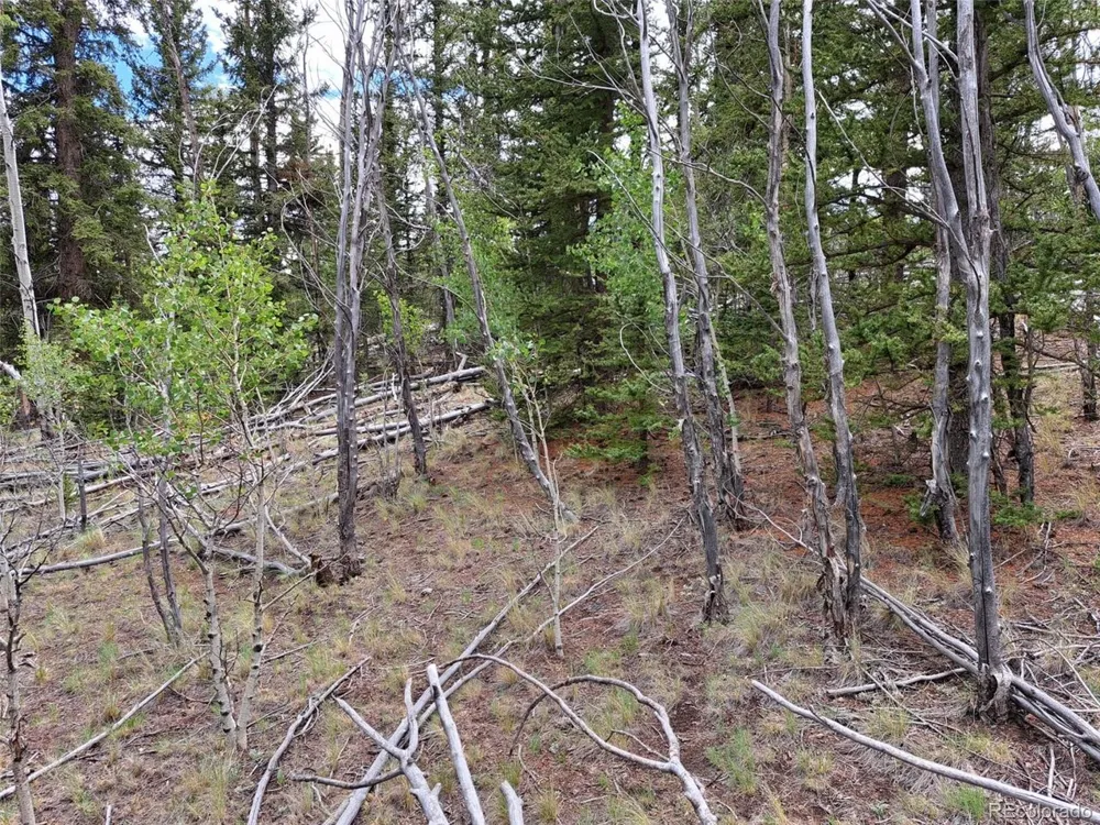 6242 Remington Road Como, CO 80432