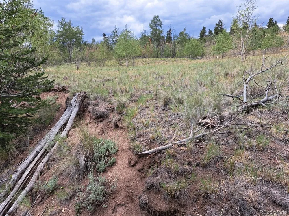 6242 Remington Road Como, CO 80432