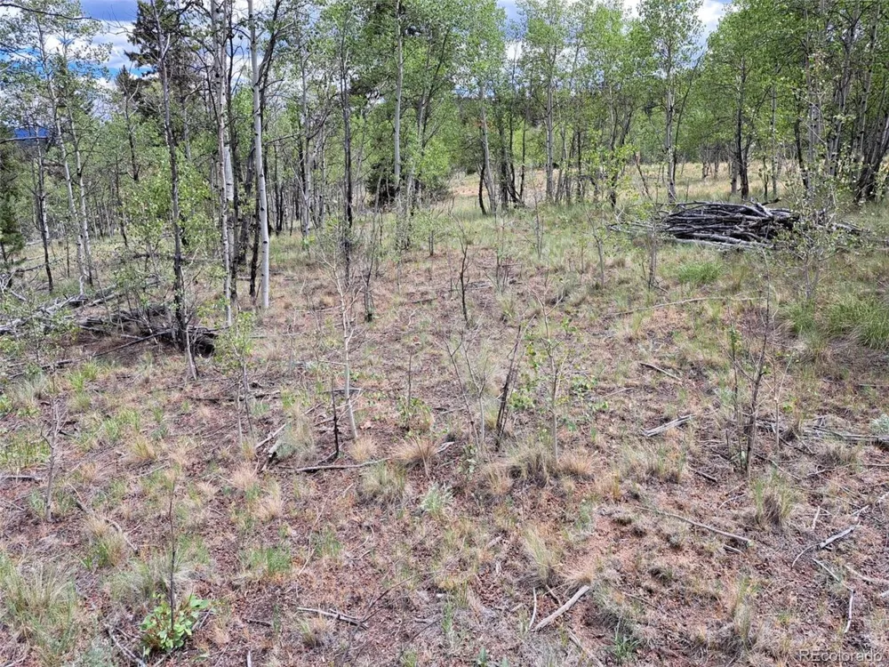 6242 Remington Road Como, CO 80432