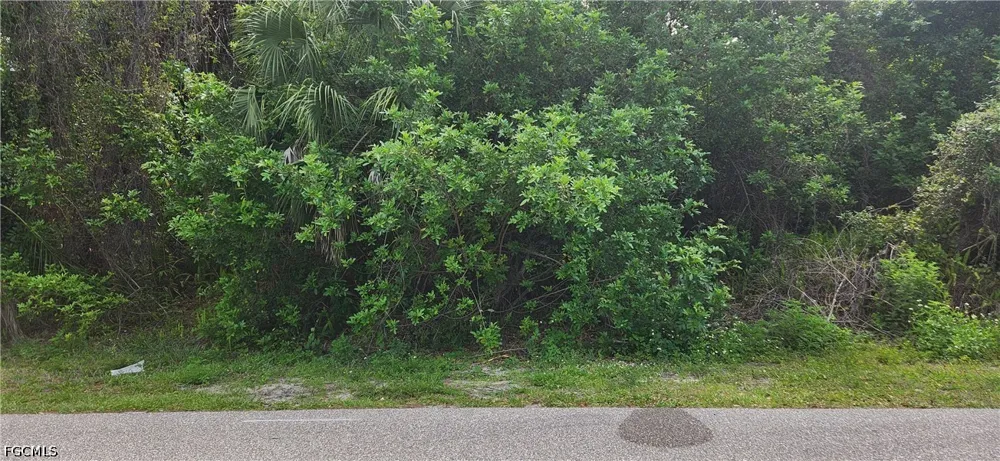 Verona Street Port Charlotte, FL 33948