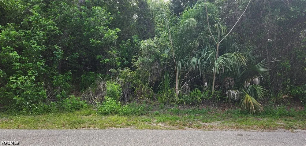 Verona Street Port Charlotte, FL 33948
