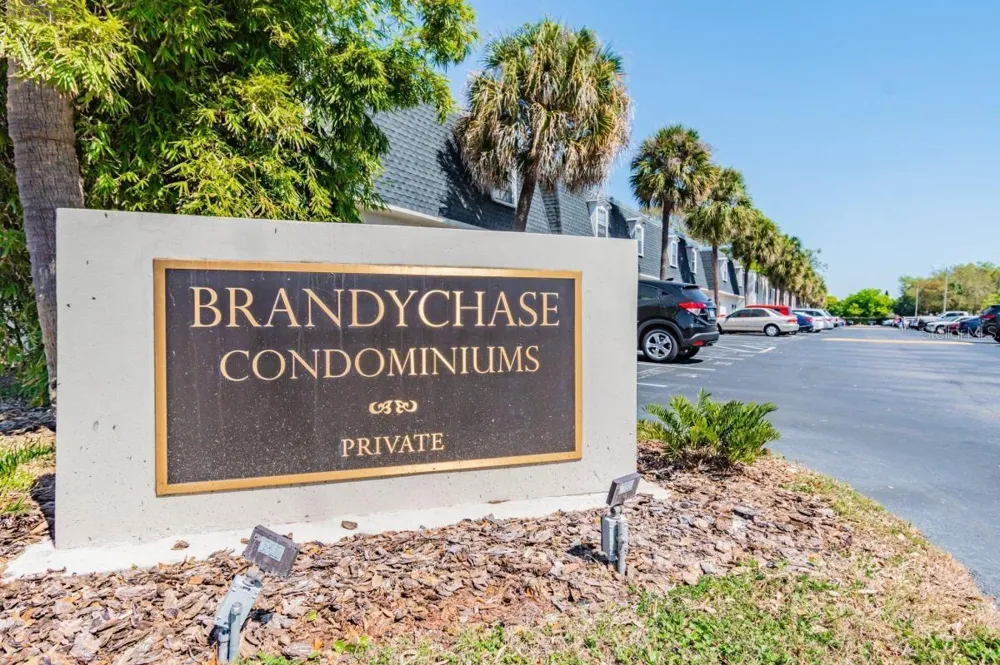 4335 AEGEAN DRIVE #108A Tampa, FL 33611