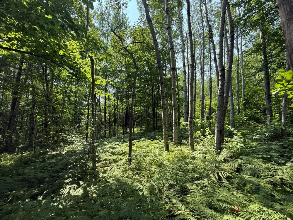 TBD N 83rd Ave. W Duluth, MN 55807