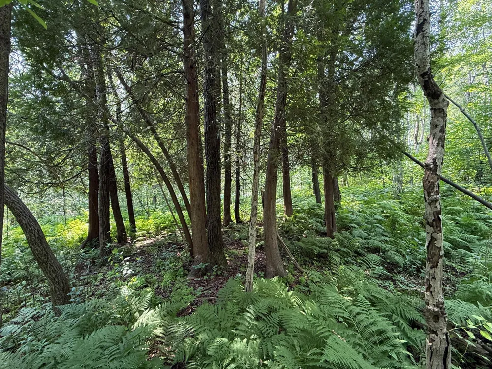 TBD N 83rd Ave. W Duluth, MN 55807