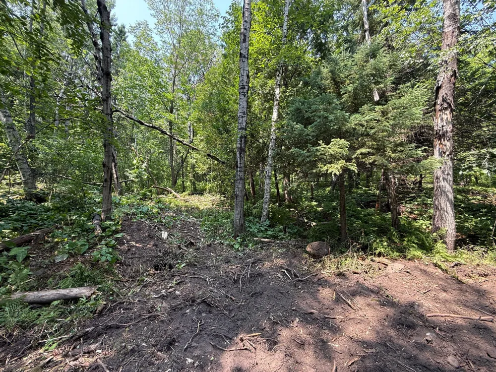 TBD N 83rd Ave. W Duluth, MN 55807