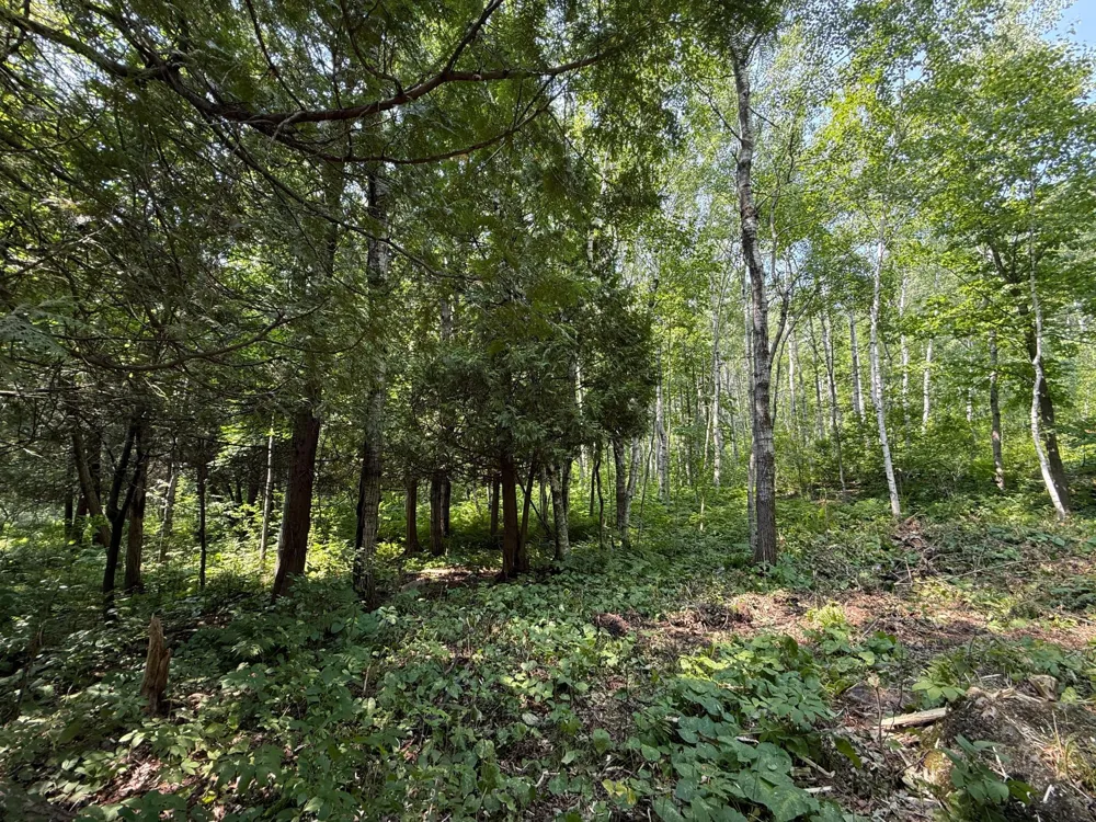 TBD N 83rd Ave. W Duluth, MN 55807