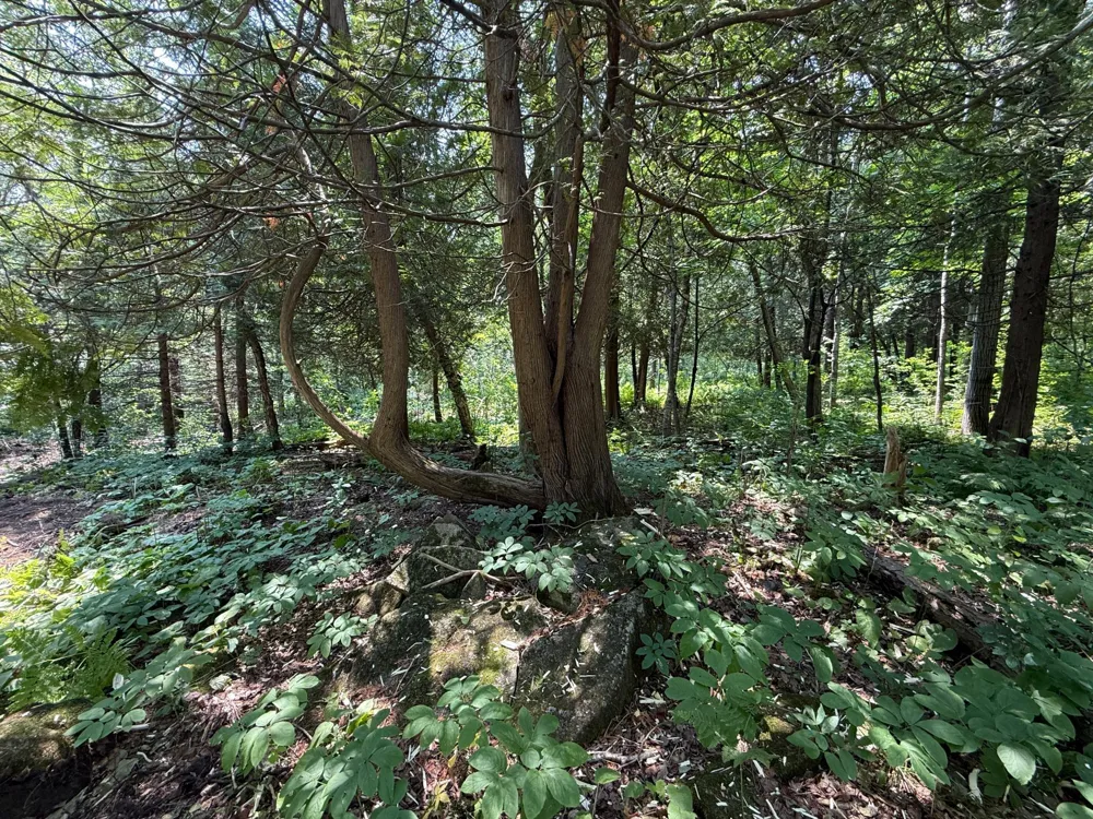 TBD N 83rd Ave. W Duluth, MN 55807