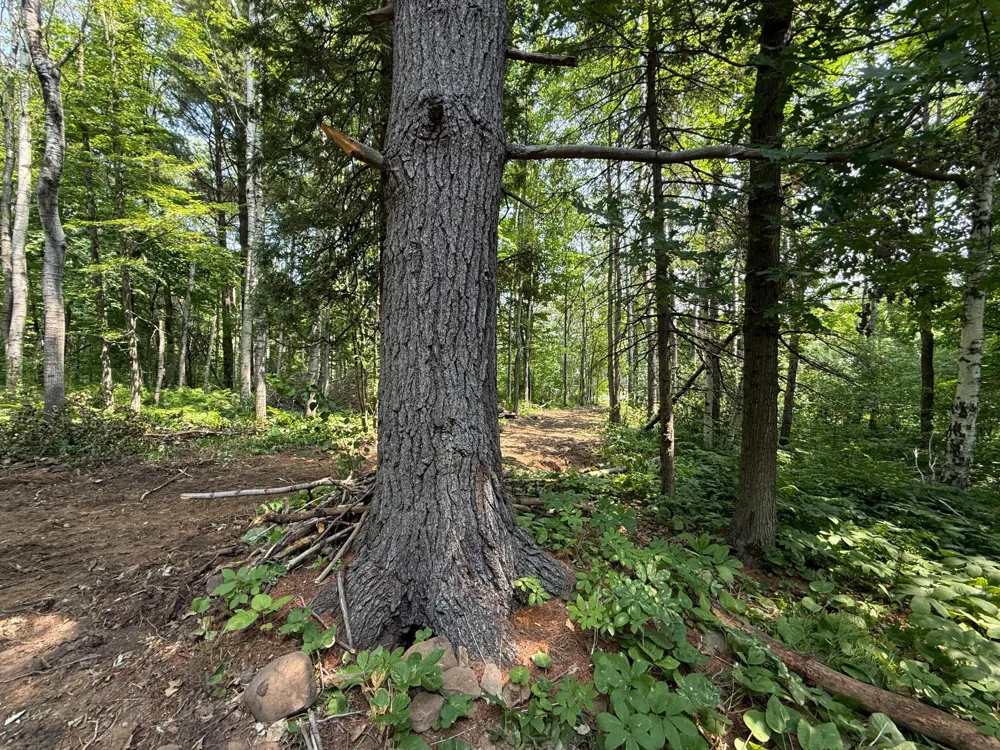 TBD N 83rd Ave. W Duluth, MN 55807