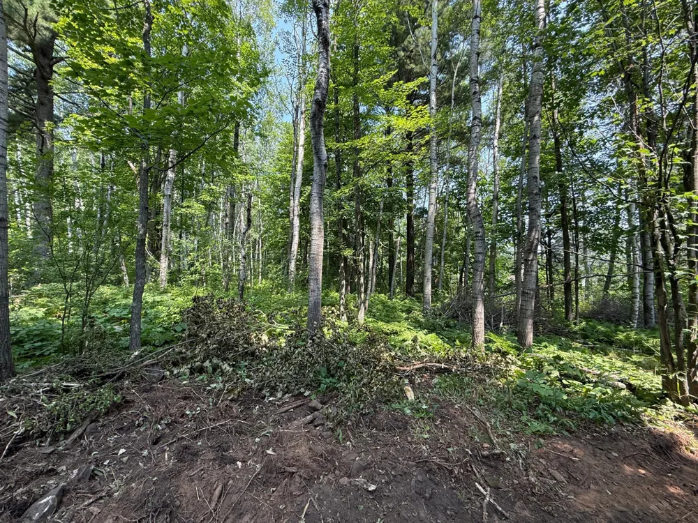 TBD N 83rd Ave. W Duluth, MN 55807