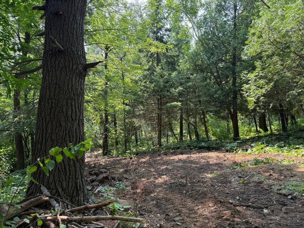 TBD N 83rd Ave. W Duluth, MN 55807