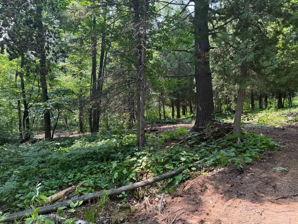 TBD N 83rd Ave. W Duluth, MN 55807