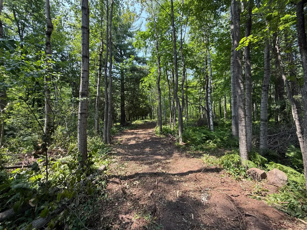TBD N 83rd Ave. W Duluth, MN 55807