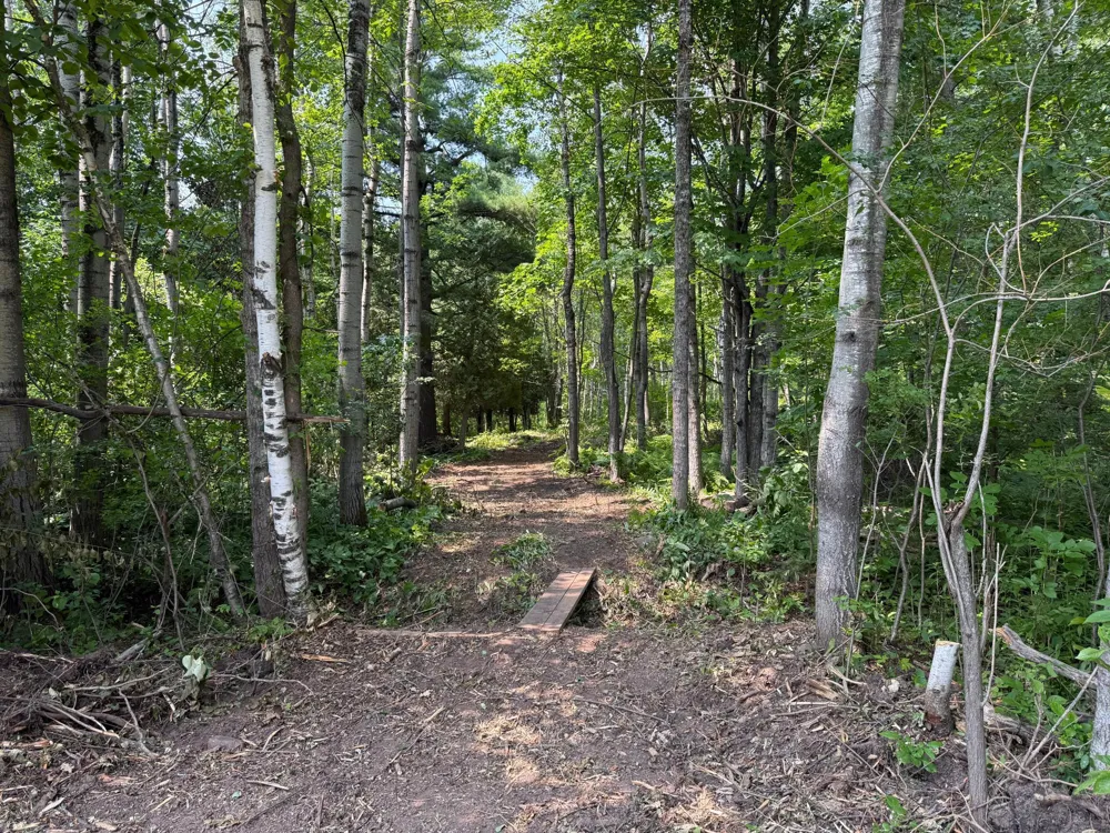 TBD N 83rd Ave. W Duluth, MN 55807