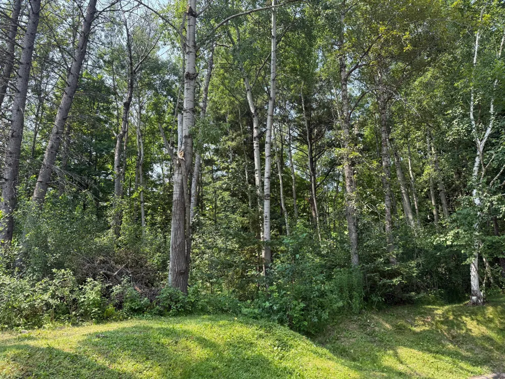 TBD N 83rd Ave. W Duluth, MN 55807