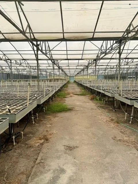 33322 COUNTY ROAD 437 Sorrento, FL 32776