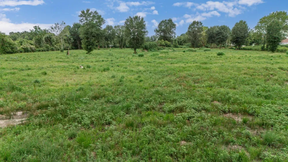 Post Oak Boulevard Fresno, TX 77545