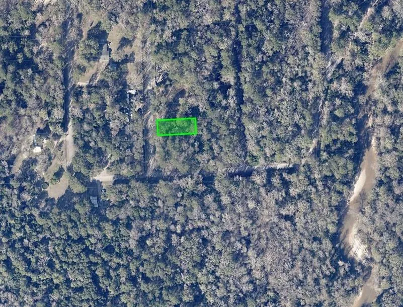 Idle Wild Road New Caney, TX 77357