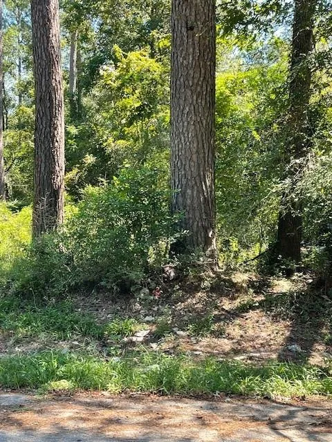 Idle Wild Road New Caney, TX 77357