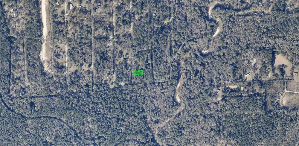 Idle Wild Road New Caney, TX 77357