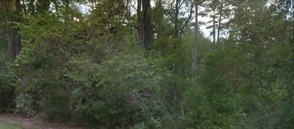 Idle Wild Road New Caney, TX 77357