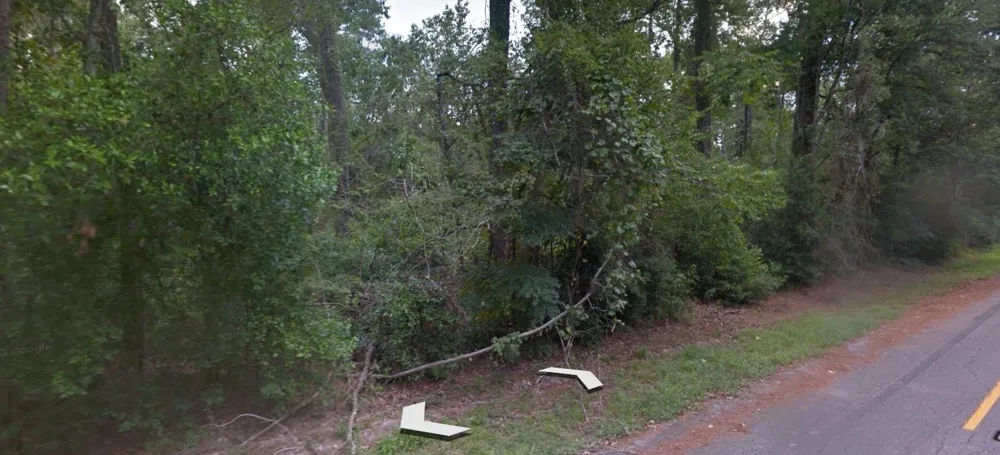 Idle Wild Road New Caney, TX 77357