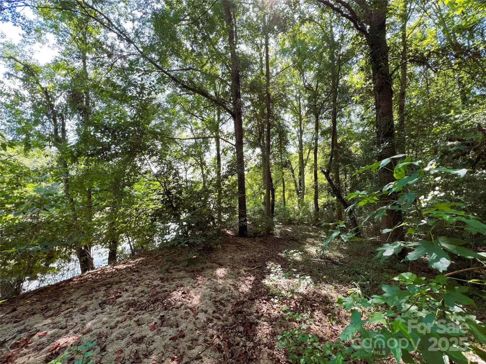 Lot 3B Broad River Highlands Drive Mooresboro, NC 28114