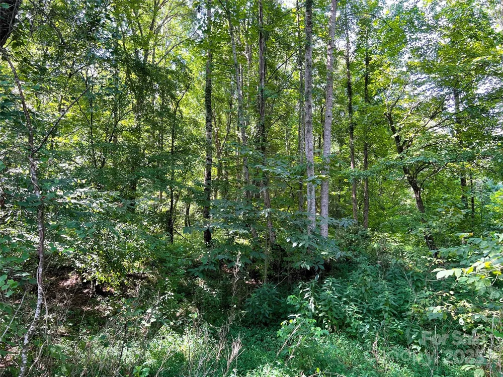 Lot 3B Broad River Highlands Drive Mooresboro, NC 28114