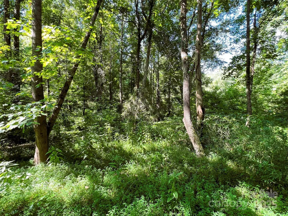 Lot 3B Broad River Highlands Drive Mooresboro, NC 28114