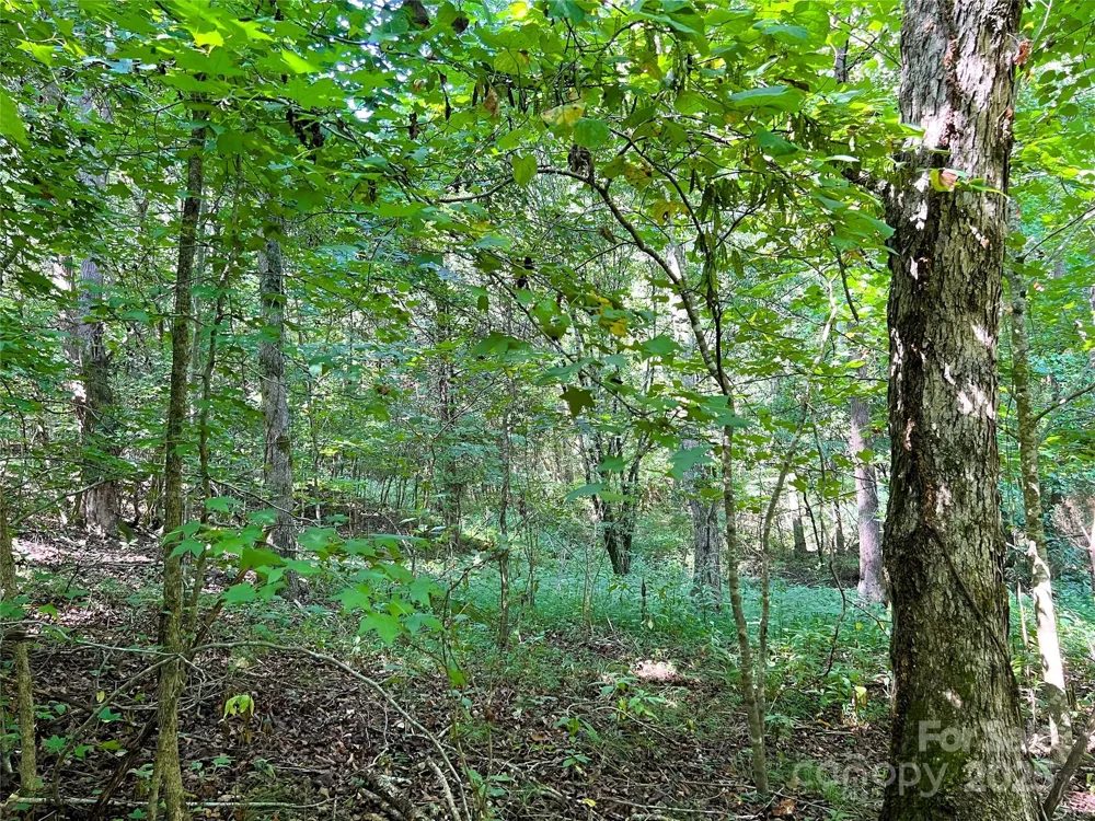 Lot 3B Broad River Highlands Drive Mooresboro, NC 28114