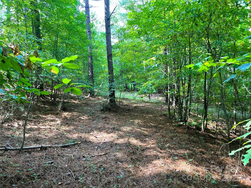 Lot 3B Broad River Highlands Drive Mooresboro, NC 28114
