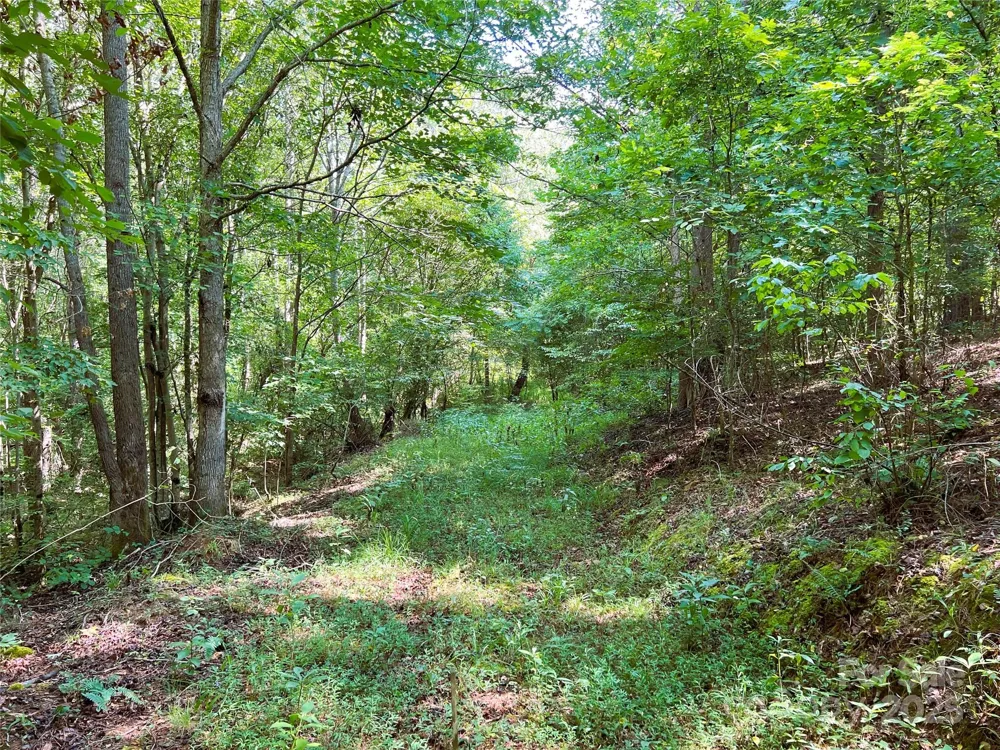 Lot 3B Broad River Highlands Drive Mooresboro, NC 28114