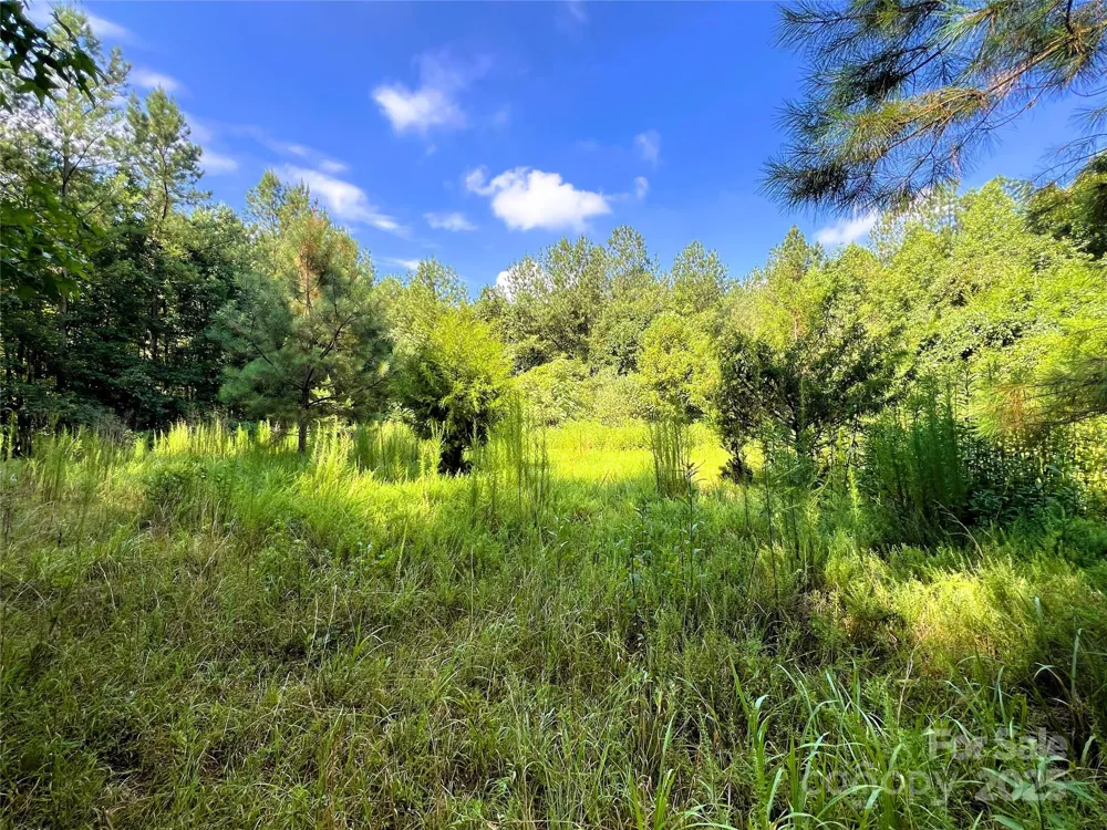Lot 3B Broad River Highlands Drive Mooresboro, NC 28114