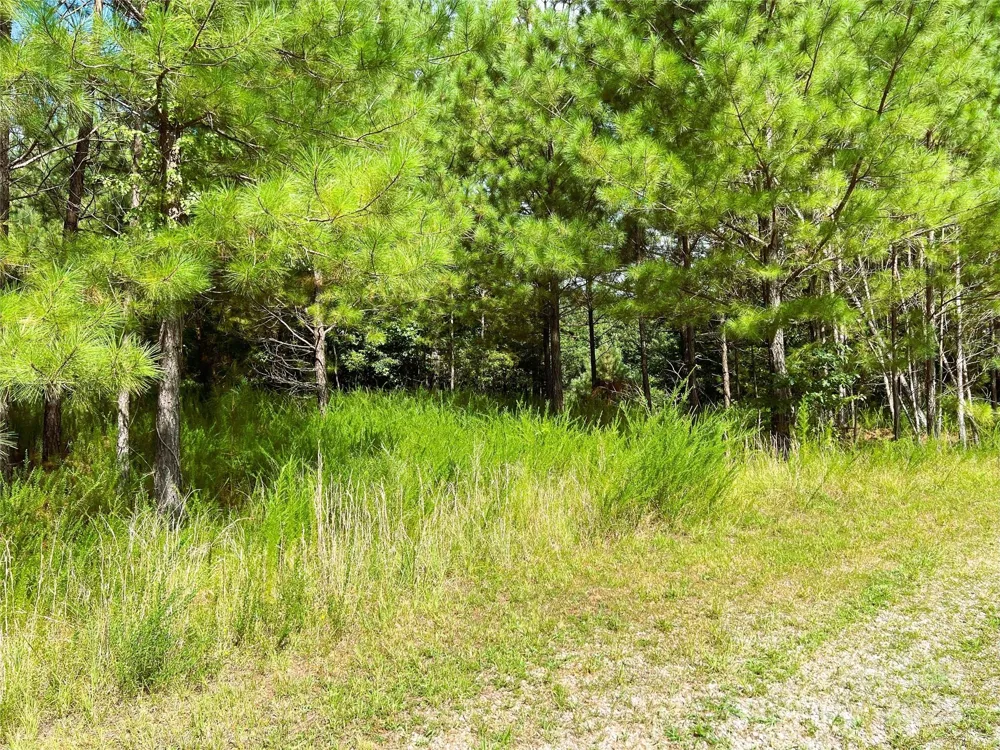 Lot 3B Broad River Highlands Drive Mooresboro, NC 28114