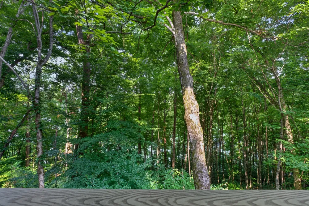 1025 Lakeside Dr Smithville, TN 37166