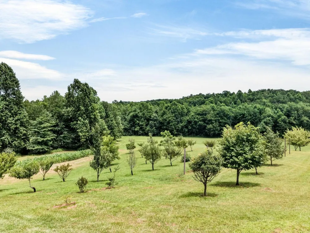 219 Zizka Dr Sparta, TN 38583