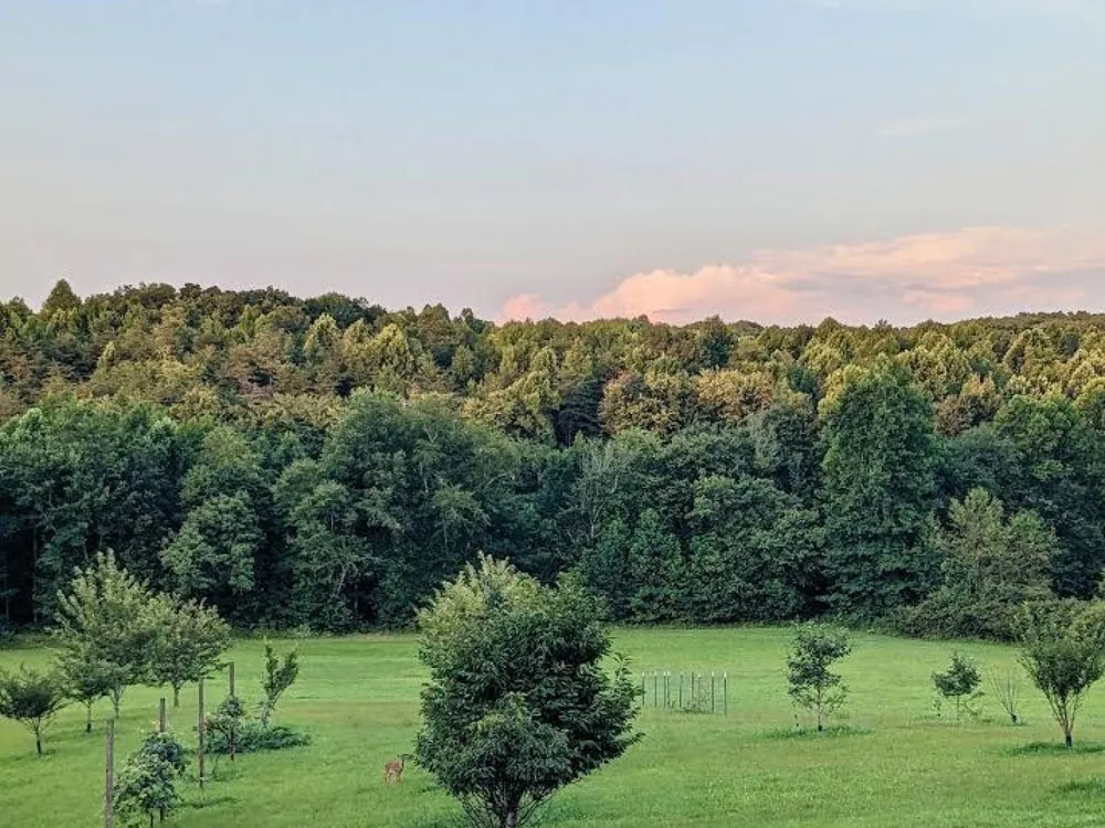 219 Zizka Dr Sparta, TN 38583