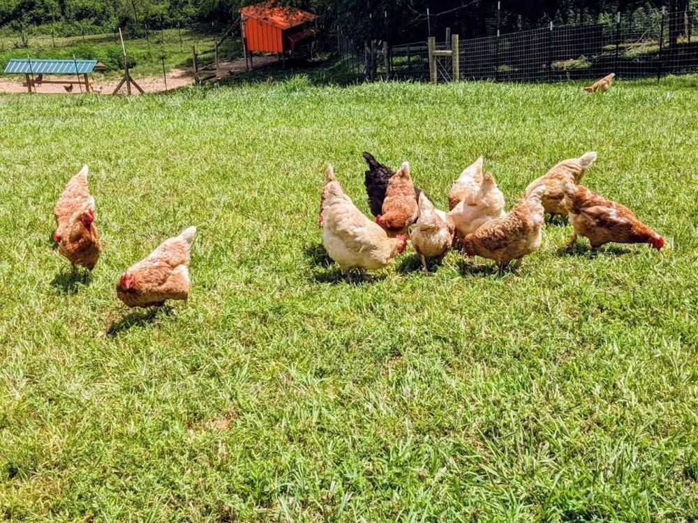 219 Zizka Dr Sparta, TN 38583