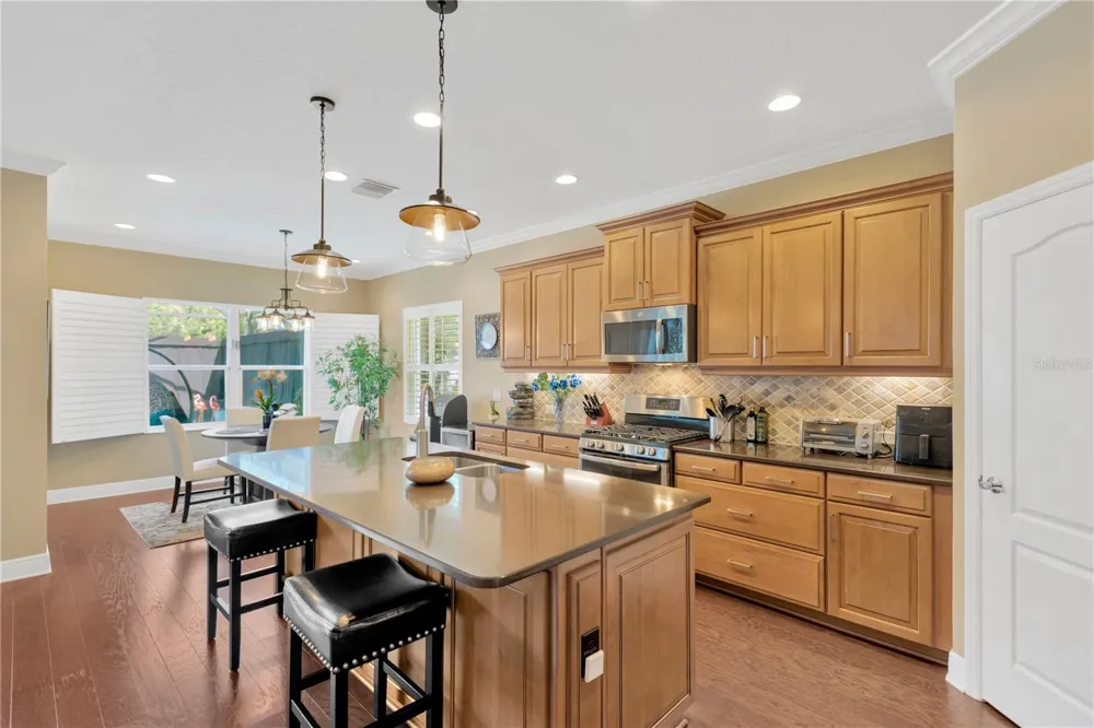 6420 SEASOUND DRIVE Apollo Beach, FL 33572