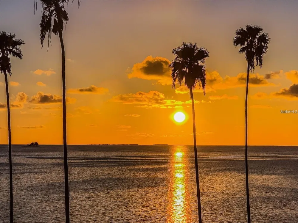 266 FLORIDA BOULEVARD Crystal Beach, FL 34681
