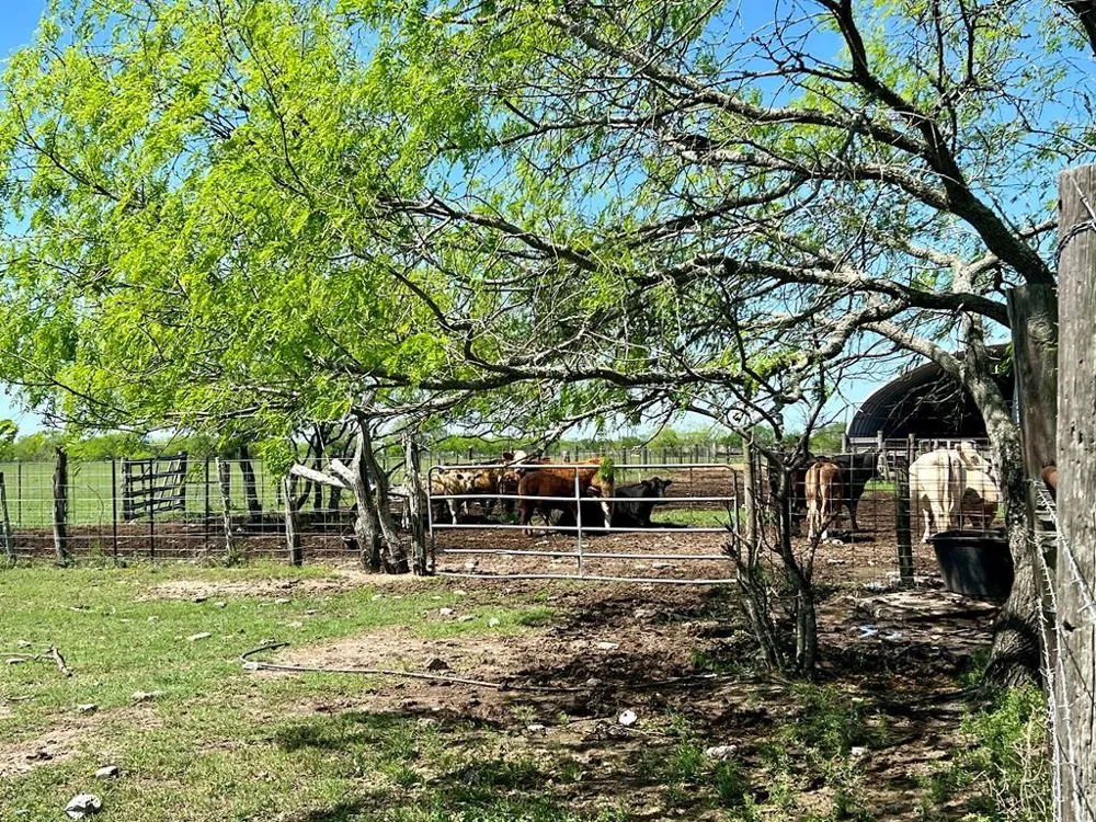 571 Fm 1360 Woodsboro, TX 78393