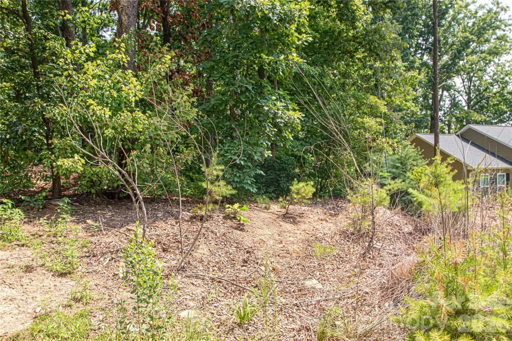 0 Sarah Drive #119 Denver, NC 28037