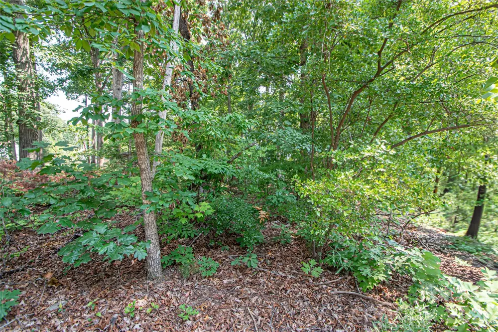 0 Sarah Drive #119 Denver, NC 28037