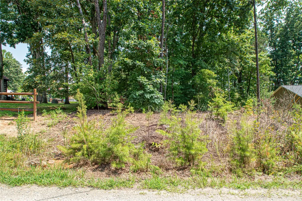 0 Sarah Drive #119 Denver, NC 28037