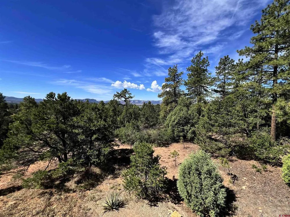 12282 Road 41 Mancos, CO 81328