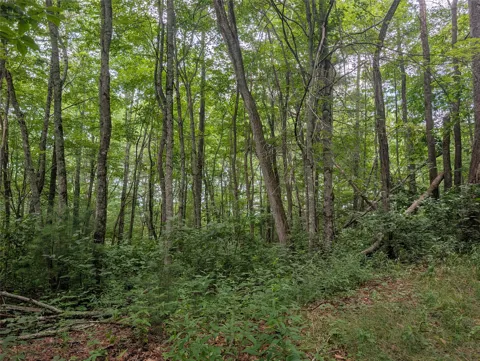 Lot 2 Highlands Gap Road