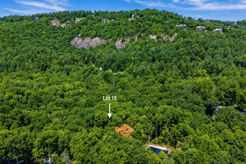 15 Lone Panther Ridge