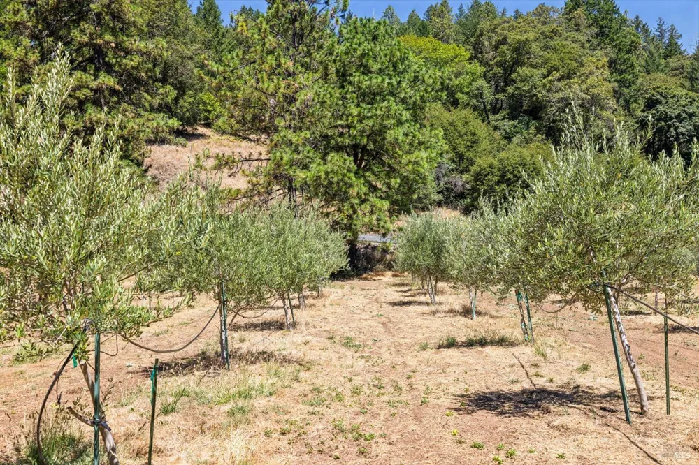 4627 Lake County Highway Calistoga, CA 94515