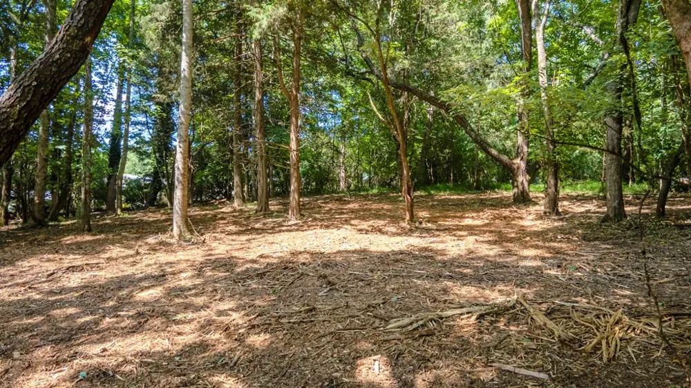 Georgia Rd Franklin, NC 28734