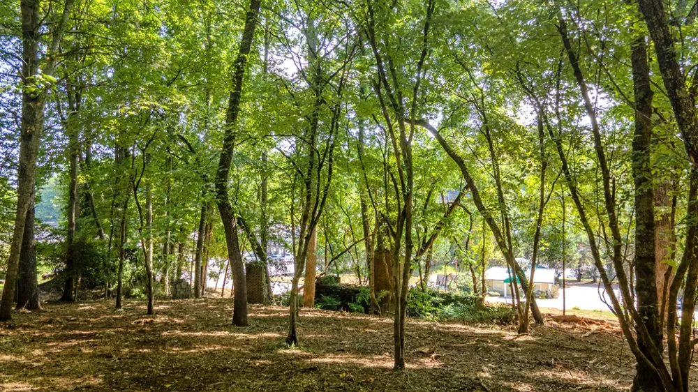Georgia Rd Franklin, NC 28734