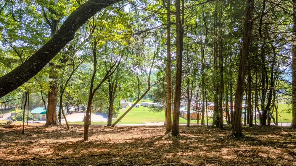 Georgia Rd Franklin, NC 28734